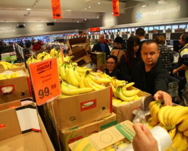 SLAVIŠA IZ LESKOVCA JE U LIDLU KUPIO 30kg bana i 10 pilića , i sa TIM ĆE URADITI nešto ŠTO SE NIKO DO SAD nije SETIO!