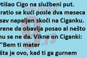Vic Dana: Sta je sad ovo kad ti ga gu…