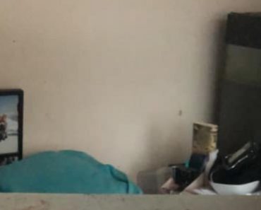 Ćerka je otišla da živi s dečkom: Htela sam da detaljno očistim njenu sobu i ZGROZILA SE kad sam videla ovo – BOG POMOGAO NJENOM DEČKU Ćerka je otišla da živi s dečkom: Htela sam da detaljno očistim njenu sobu i ZGROZILA SE kad sam videla ovo – BOG POMOGAO NJENOM DEČKU