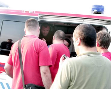 ROJ PČELA NAPADA NA DUNAVSKOM KEJU Drama se završila SMRTNIM ISHODOM! Prijatelji u šoku gledali kako hitna odvozi Dušana!