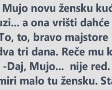 Vic Dana: Stavi joj ga ….