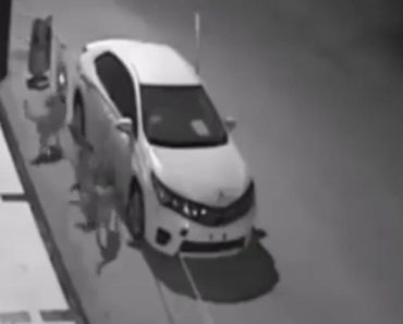 NAJČUDNIJI SNIMAK KOJI ĆETE VIDETI: Psi su usred noći okružili auto, a onda uradili nešto NEOBJAŠNJIVO (VIDEO)