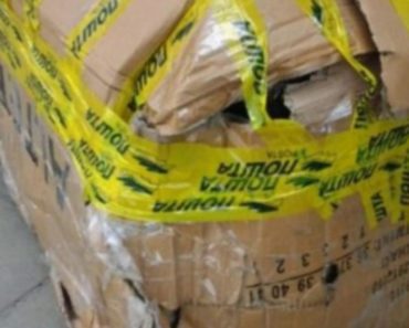 KAKVA SRAMOTA! SRPKINJA DOBILA POKLON IZ AMERIKE OD ROĐAKE: Kada je stigao na adresu, svi su zanemeli od ŠOKA!