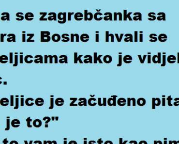 Vic Dana: Šta je to kur…