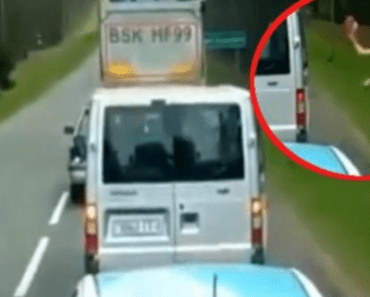 KAMIONDŽIJA ODRŽAO LEKCIJU BAHATOM VOZAČU! Izleteo iz kamiona pa ga naučio pameti! (VIDEO)
