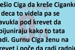 Vic Dana : Navalio on a onda …