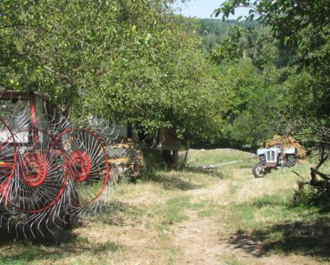 UBIJENI ZBOG PORODIČNOG BLAGA? Krvava misterija u Jabukovcu krije strašnu tajnu, ubica je svakog OVERIO U GLAVU! UBIJENI ZBOG PORODIČNOG BLAGA? Krvava misterija u Jabukovcu krije strašnu tajnu, ubica je svakog OVERIO U GLAVU!
