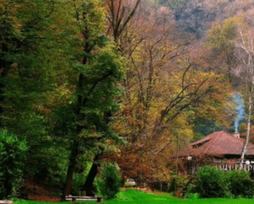 PLANINA NADOMAK BEOGRADA NAJTRAŽENIJA NA OGLASIMA! Ljudi se iz grada masovno sele ovde, cene kuća bagatela!
