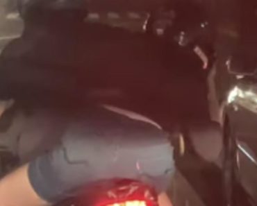 VRHUNSKA RIBA SEDI NA MOTORU: Čekajte da vidite snimak, neće vam biti dobro – bukvalno! (VIDEO) VRHUNSKA RIBA SEDI NA MOTORU: Čekajte da vidite snimak, neće vam biti dobro – bukvalno! (VIDEO)