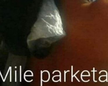 HTELA JE DA PROVERI KO JE MILE PARKETAR U MUŽEVLJEVOM TELEFONU: Mogla je samo da plače kad je videla sliku