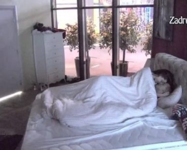 PAO ORALNI SE*S?! Tara ŠOKIRALA sve zadrugare svojim priznanjem! (VIDEO)