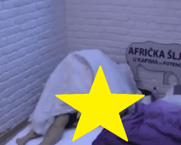 SVE SE VIDELO Dragana i Tomović imali se*s: Skinuo gaće pa naskočio na nju! (VIDEO 18+)