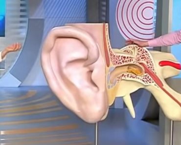 DLAKE U UŠIMA SU PRVI ZNAK NAJOPASNIJE BOLESTI 21. VEKA: Znate li koje?