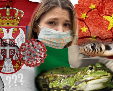 KINEZI DOBILI KORONU JER JEDU ZMIJE, ITALIJANI JER JEDU ŽABE, A SRBI JER JEDU… Status ovog čoveka pogađa u centa KINEZI DOBILI KORONU JER JEDU ZMIJE, ITALIJANI JER JEDU ŽABE, A SRBI JER JEDU… Status ovog čoveka pogađa u centa