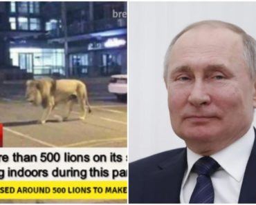OVAKO PUTIN BRANI RUSIJU OD KORONAVIRUSA!? PUSTIO DIVLJE ZVERI NA ULICU: Ova slika je obišla ceo svet! (FOTO) OVAKO PUTIN BRANI RUSIJU OD KORONAVIRUSA!? PUSTIO DIVLJE ZVERI NA ULICU: Ova slika je obišla ceo svet! (FOTO)