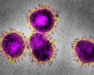 SNIMLJENI SU TONOVI KORONA VIRUSA: Nakon što su ih preslušali, lekari su ostali nemi od šoka! SNIMLJENI SU TONOVI KORONA VIRUSA: Nakon što su ih preslušali, lekari su ostali nemi od šoka!