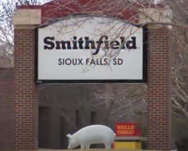 KATASTROFA U NAJAVI: Iz Amerike stigla BAŠ STRAŠNA vest