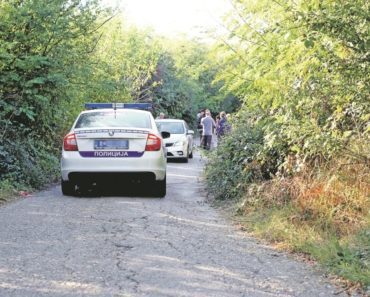 Deka (76) iz sela kod Ćuprije otišao do kolibe da nahrani ovce, a onda ga sačekalo neprijatno iznenađenje