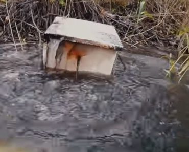 RONIOCI NA DNU JEZERA PRONAŠLI SEF: Kada su ga otvorili, imali su šta da vide! Ovo se ne viđa ni u filmovima (VIDEO)