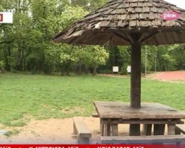 DA LI JE MOGUĆE DA GLEDAMO OVU SCENU UPRAVO NA KOŠUTNJAKU: Ovo stvarno nema smisla! (FOTO)