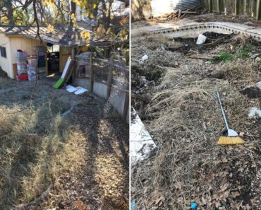 Kupio kuću, a onda zanemeo ŠTA je pronašao u dvorištu! Život mu se istog trenutka preokrenuo (FOTO)