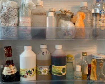 SVI DRŽIMO OVAJ OTROV U FRIŽIDERU: Od ovoga možete da se RAZBOLITE, niste ni svesni šta RADITE! SVI DRŽIMO OVAJ OTROV U FRIŽIDERU: Od ovoga možete da se RAZBOLITE, niste ni svesni šta RADITE!