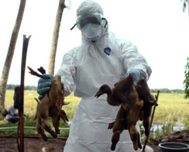 SAMO NAM JE TO JOŠ FALILO! NOVI VIRUS PRETI SVETU? Prvi slučaj zabeležen u Kini, HITNO se oglasila i njena Vlada!