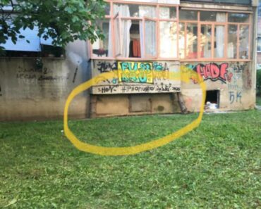 Terasa počela da PROPADA, ali su oni našli REŠENJE, pravi genijalci! (FOTO) Terasa počela da PROPADA, ali su oni našli REŠENJE, pravi genijalci! (FOTO)