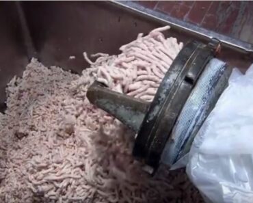 Kada pogledate kako se prave VIRŠLE, više ih NIKADA nećete UNETI u svoj organizam: Meso je staro NEKOLIKO godina