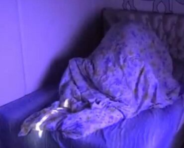 “DOPUSTI MI DA TE..”! Janjuš u VRELOJ AKCIJI sa zadrugarkom, OSVANUO SNIMAK: Pribio je uz zid pa raširio noge “DOPUSTI MI DA TE..”! Janjuš u VRELOJ AKCIJI sa zadrugarkom, OSVANUO SNIMAK: Pribio je uz zid pa raširio noge