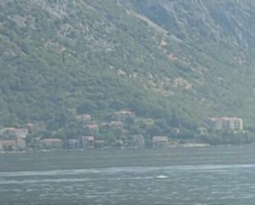 NASRED CRNOGORSKOG PRIMORJA USNIMLJEN PRIZOR KOJI OSTAVLJA BEZ TEKSTA: Pazite samo ŠTA PLIVA U MORU! (VIDEO)