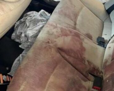 “NE PITAMO NIŠTA, SAMO RADIMO POSAO”: Pogledajte HOROR reklamu servisa za čišćenje, svet gleda i NE TREPĆE! (FOTO) “NE PITAMO NIŠTA, SAMO RADIMO POSAO”: Pogledajte HOROR reklamu servisa za čišćenje, svet gleda i NE TREPĆE! (FOTO)