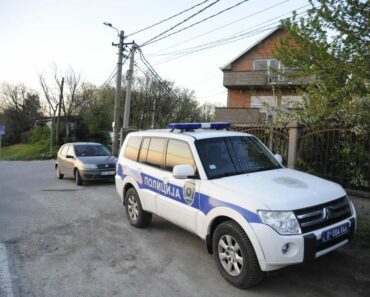 LJUBIŠA SEKIROM UDARAO ŽENU DOK JE BEŽALA SA UNUČETOM U RUKAMA Novi detalji porodične drame kod Pirota DETE VRIŠTALO I ZVALO POMOĆ