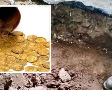KUPILI KUĆU, A ONDA SU REŠILI DA PROMENE POD! Skinuli su staru podlogu i tada je usledilo ŠOK OTKRIĆE! (FOTO)