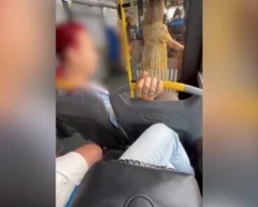 Jeziva scena RAZBESNELA putnike u beogradskom autobusu: “Ova žena da se pronađe i KAZNI” (FOTO) Jeziva scena RAZBESNELA putnike u beogradskom autobusu: “Ova žena da se pronađe i KAZNI” (FOTO)