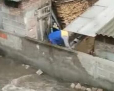 SRAMOTAN SNIMAK IZ BORČE SE ŠIRI PO MREŽAMA: To što jedan komšija RADI drugom je ČIST BEZOBRAZLUK! (VIDEO) SRAMOTAN SNIMAK IZ BORČE SE ŠIRI PO MREŽAMA: To što jedan komšija RADI drugom je ČIST BEZOBRAZLUK! (VIDEO)