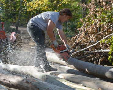 PREREZAO DRVO, PA SE ZAPANJIO Meštani ne pamte da se ikada desilo nešto slično