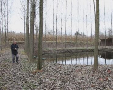 EPOHALNO! Palo ČUDO sa NEBA na imanje kod Čačka: Dragan odmah sakrio u šupu pronađeno telo (FOTO)