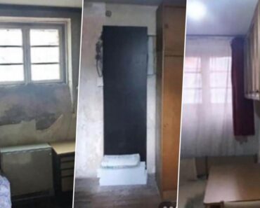 STOKA U ŠTALI ŽIVI LEPŠE! Vlasnik stana na Vračaru ima 2 zahteva za zakupce, a da vidite šta nudi! A TEK KIRIJA! (FOTO) STOKA U ŠTALI ŽIVI LEPŠE! Vlasnik stana na Vračaru ima 2 zahteva za zakupce, a da vidite šta nudi! A TEK KIRIJA! (FOTO)