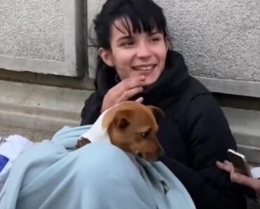 PRIŠAO JE LEPOJ DEVOJCI KOJA PROSI U KNEZU I PITAO KOLIKO ZARADI DNEVNO: Njen odgovor bi mogao da vas šokira! (VIDEO)
