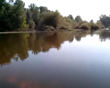 UHVAĆENO ČUDOVIŠTE IZ JUŽNE MORAVE! Ribari su ga jurili 20 godina, a kada su videli šta su izvukli nastao je horor! FOTO