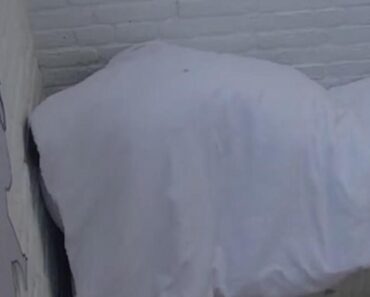 AKCIJA MILJANE I BEBICE PUŠTENA UŽIVO, SNIMAK TRAJE MINUT I 43 SEKUNDE: Zapevala “ĐIHA, ĐIHA” i zabezeknula NACIJU