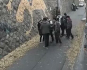 MONSTRUMI ODVELI DEVOJKU U ZABAČENU ULICU: Saterali je u ĆOŠAK, pa NAPALI, ono što je usledilo će vas IZUTI (VIDEO) MONSTRUMI ODVELI DEVOJKU U ZABAČENU ULICU: Saterali je u ĆOŠAK, pa NAPALI, ono što je usledilo će vas IZUTI (VIDEO)