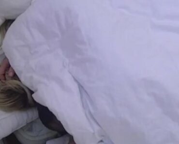 OVO NIKADA NISTE VIDELI NA PINKU: Vrela akcija Aleksandre i Cara za koju niko ne zna OVO NIKADA NISTE VIDELI NA PINKU: Vrela akcija Aleksandre i Cara za koju niko ne zna
