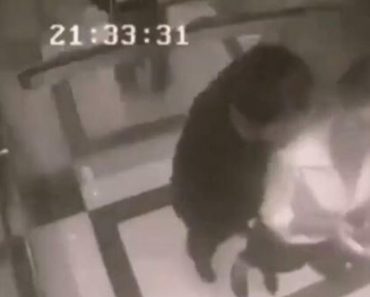 NAPASNIK OSTAO SAM SA ŽENOM U LIFTU, PA POČEO DA JE SPOPADA I PIPKA: Ono što je usledilo će vas ŠOKIRATI!(VIDEO) NAPASNIK OSTAO SAM SA ŽENOM U LIFTU, PA POČEO DA JE SPOPADA I PIPKA: Ono što je usledilo će vas ŠOKIRATI!(VIDEO)