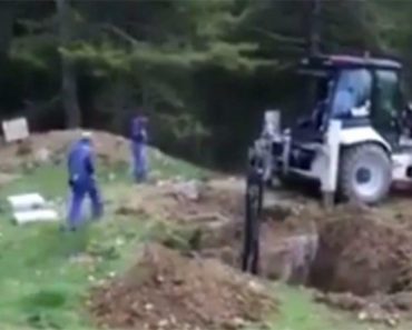 BULDOŽEROM SU KOPALI RUPU, A ONDA SE ZAČUO SNAŽAN URLIK: Iz zemlje izašla OGROMNA ZVER i pojurila ka njima! (VIDEO)