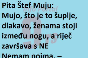 VIC Dana : Pita Štef Muju