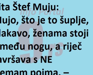 VIC Dana : Pita Štef Muju