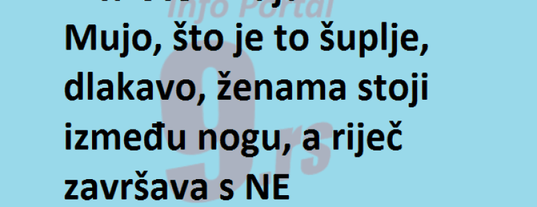 VIC Dana : Pita Štef Muju