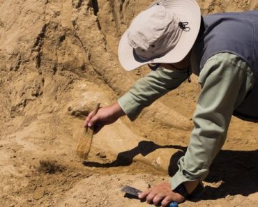 NEVEROVATNO OTKRIĆE NAUČNIKA! Evo šta su pronašli u Egiptu – nisu mogli da veruju šta vide (VIDEO) NEVEROVATNO OTKRIĆE NAUČNIKA! Evo šta su pronašli u Egiptu – nisu mogli da veruju šta vide (VIDEO)